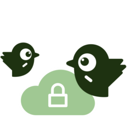 Remote Birdies